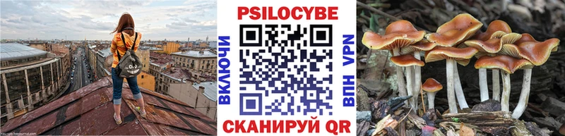 Псилоцибиновые грибы мицелий Чистополь