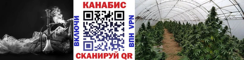 Шишки марихуана ГИДРОПОН  наркошоп  Чистополь 
